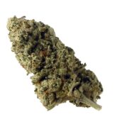 Amsterdam Genetics - Green Magic (paquet de 5 graines)