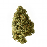 Amsterdam Genetics - White Choco Autoflower (paquet de 5 graines)