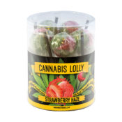 Cannabis sucettes Mango Kush (100pcs/présentoir)