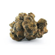 Mush Magic Pandora Truffes Magiques 15g