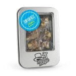 Mush Magic Tampanensis Truffes Magiques 15g