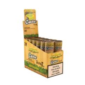 Cyclones Cônes Chanvre Sugarcane (24pcs/présentoir)