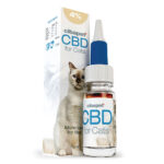 Cibdol Huile CBD pour chats 4% (10ml)