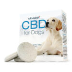 Cibdol Comprimés pour chiens avec 176mg de CBD