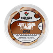 Mushroom Bakehouse Lion's Mane Bonbons Orange 200mg Extrait de Champignon