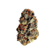 Royal Queen Seeds Dance World CBD graines de cannabis (paquet de 5 graines)