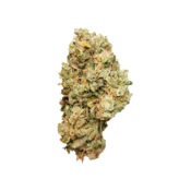 Royal Queen Seeds Royal Cheese graines de cannabis feminisées (paquet de 3 graines)