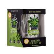 Royal Queen Seeds Quick One IGrowCan Kit de Culture