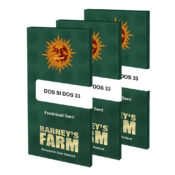 grossiste-barneys-farm-dos-si-dos-33-graines-cannabis-feminisees-pack-3-graines-1