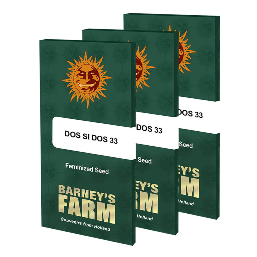 grossiste-barneys-farm-dos-si-dos-33-graines-cannabis-feminisees-pack-3-graines-1