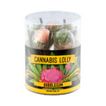 Cannabis Sucettes Goût Bubblegum Boite Cadeau 10pcs (12paquets/masterbox)