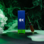 Pâte PHIX de Pharma Hemp 5ml en gros-2