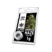 Plant of Life CBD Gelée 22% Amnesia Haze (1g)