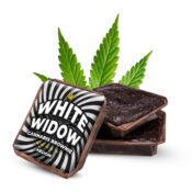 White Widow Cannabis Brownies (40pcs/boîte)