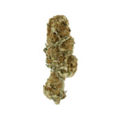 Royal Queen Seeds Euphoria CBD graines de cannabis (paquet de 3 graines)